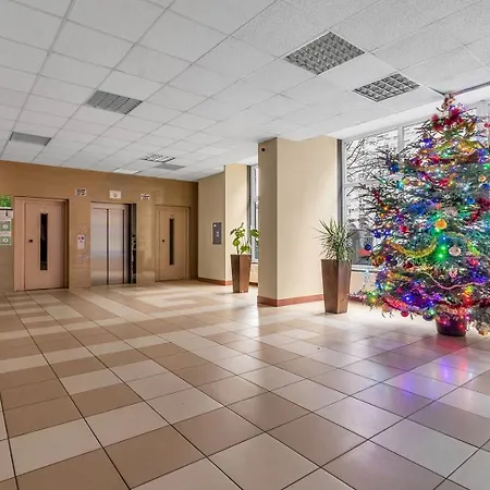 Park Mirowski Yellow By Bookinghost *